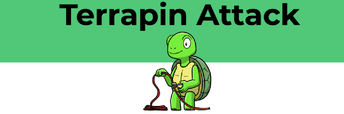 Featured image for How to Mitigate Terrapin Attack on macOS