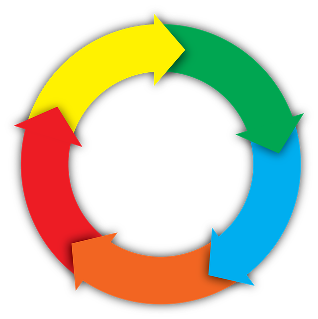 lifecycle-1
